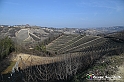 VBS_1085 - Santo Stefano Roero